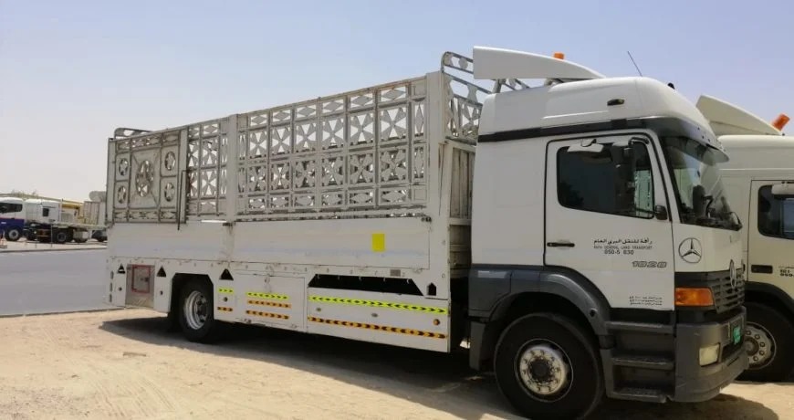 Pickup truck rental in Dubai for moving and shifting